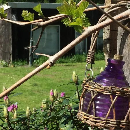 Lovenem - Ruime Met Zwembad En Sauna Op De Veluwe * Leuvenheim